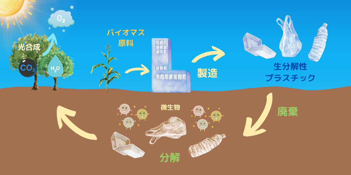 生分解性プラスチックの分解サイクル
